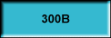 300B