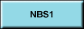 NBS1